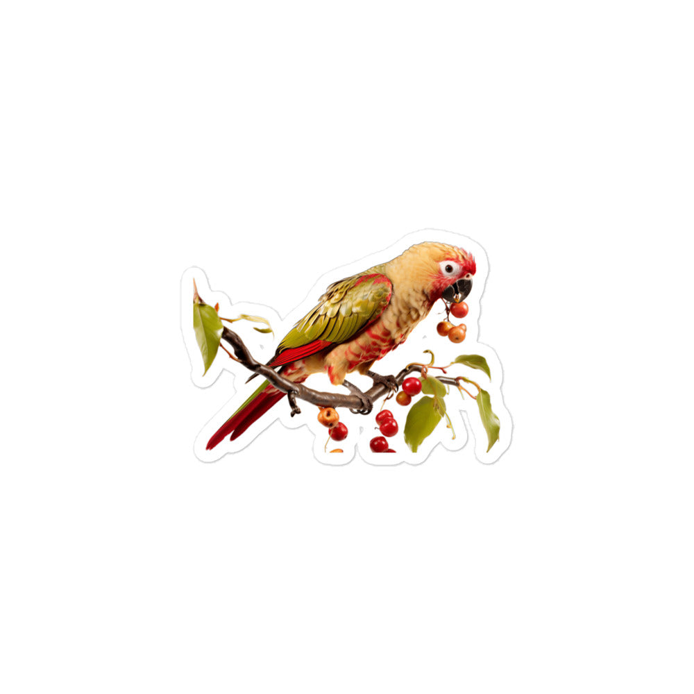 Conure Sticker - Stickerfy.ai
