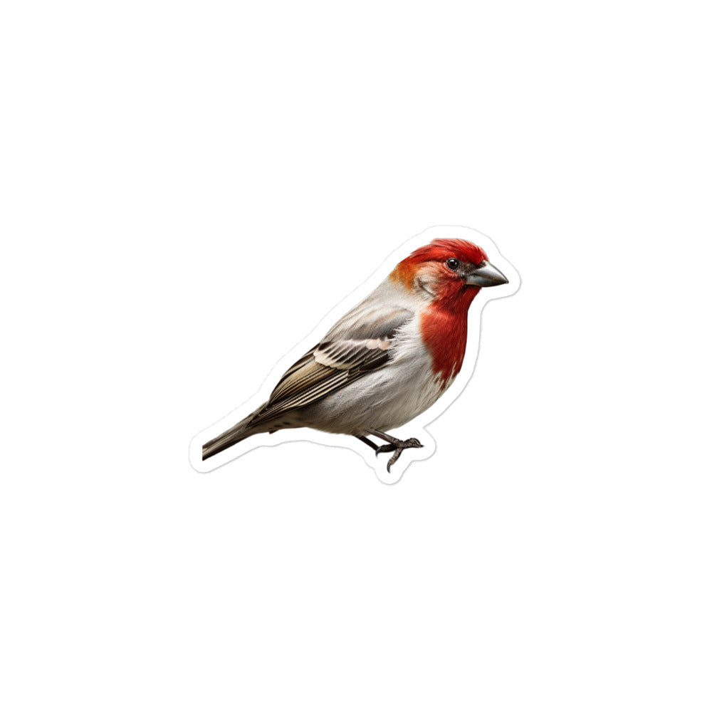 Red Headed Finch Sticker - Stickerfy.ai