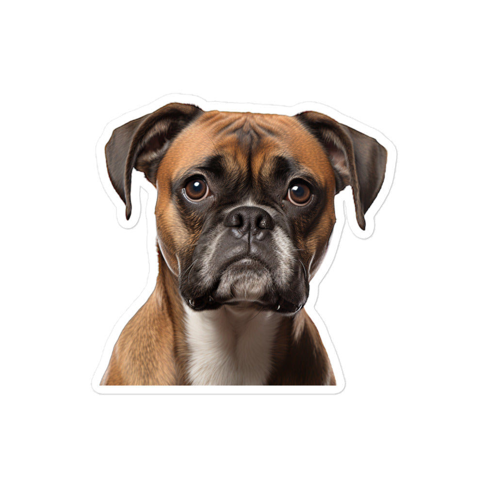 Boxer Sticker - Stickerfy.ai