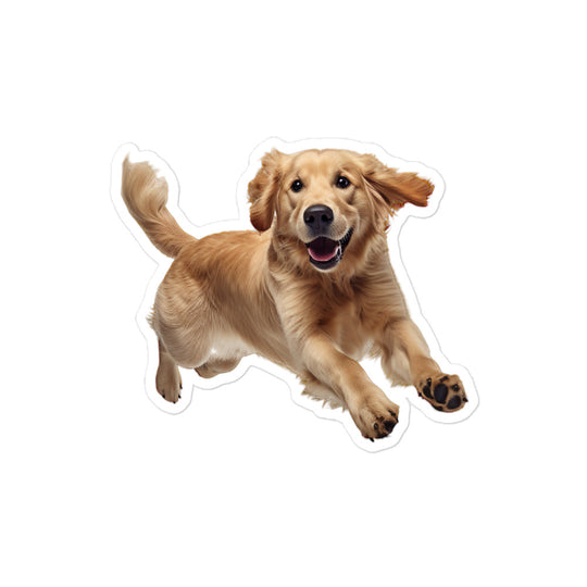 Golden Retriever Sticker - Stickerfy.ai