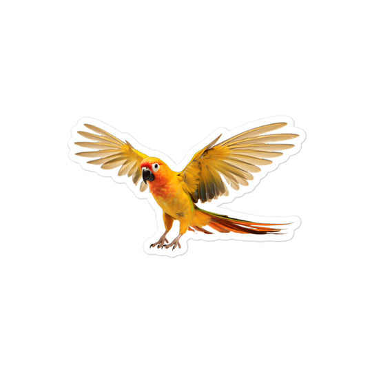 Sun Conure Sticker - Stickerfy.ai