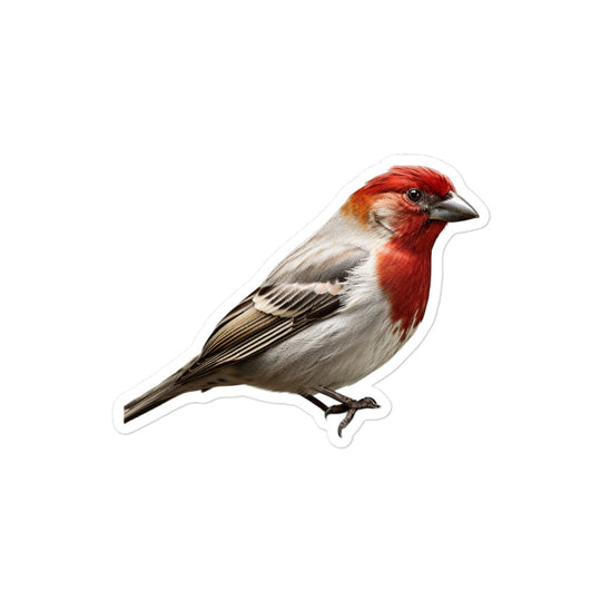 Red Headed Finch Sticker - Stickerfy.ai