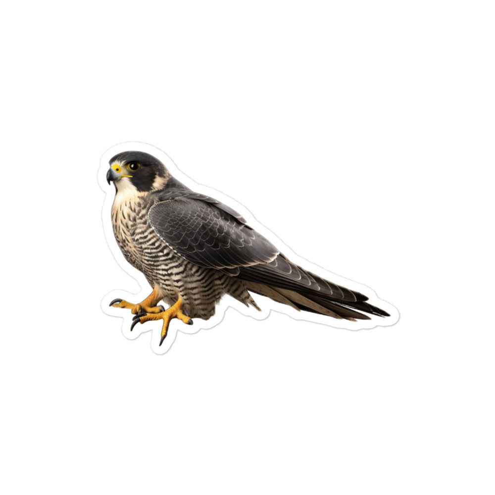 Peregrine Falcon Sticker - Stickerfy.ai