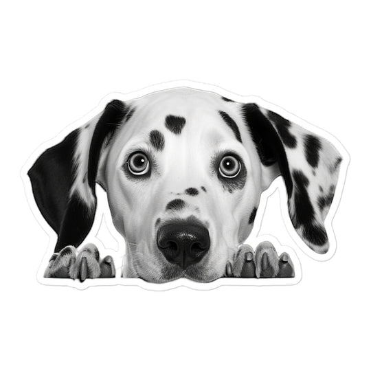 Dalmatian Sticker - Stickerfy.ai
