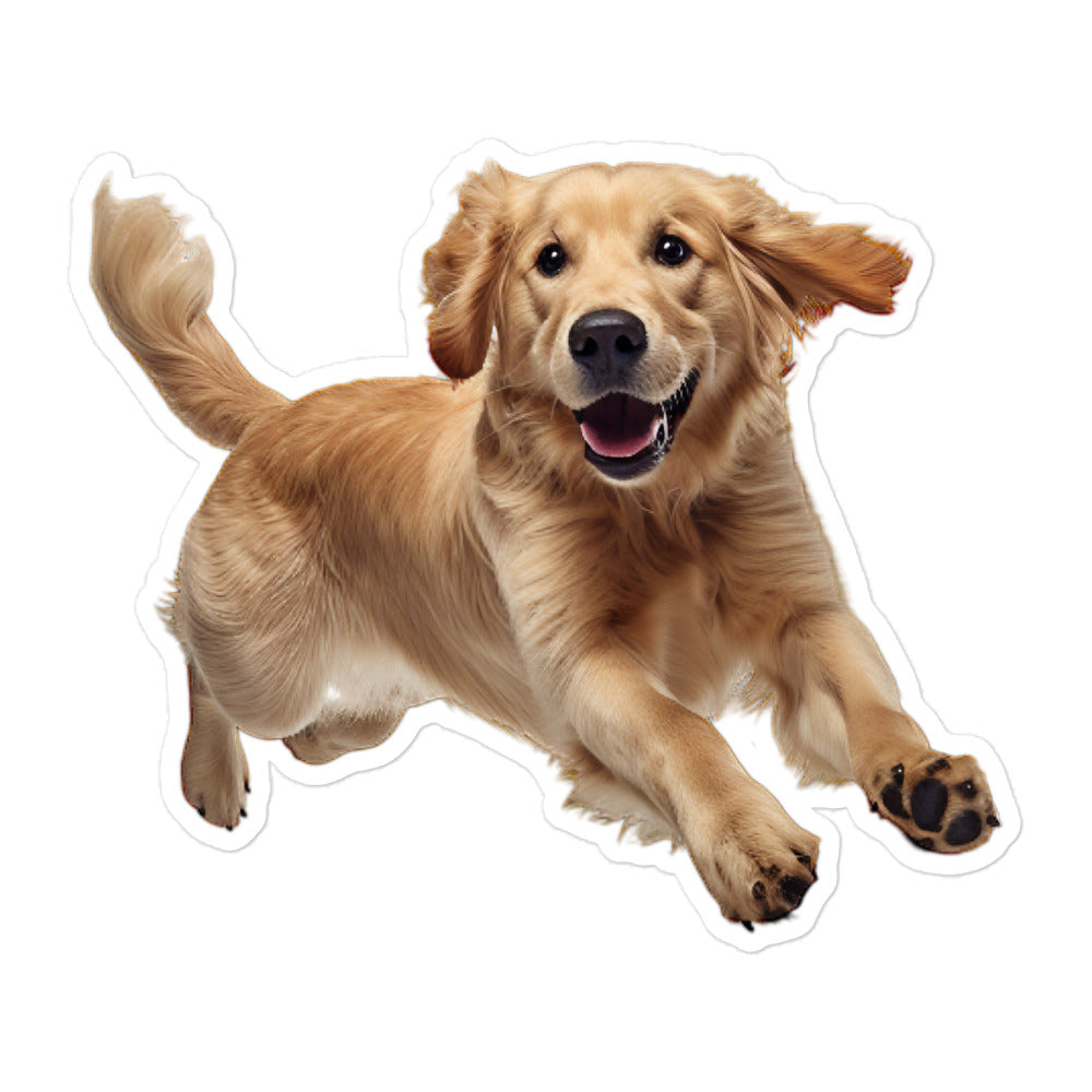 Golden Retriever Sticker - Stickerfy.ai