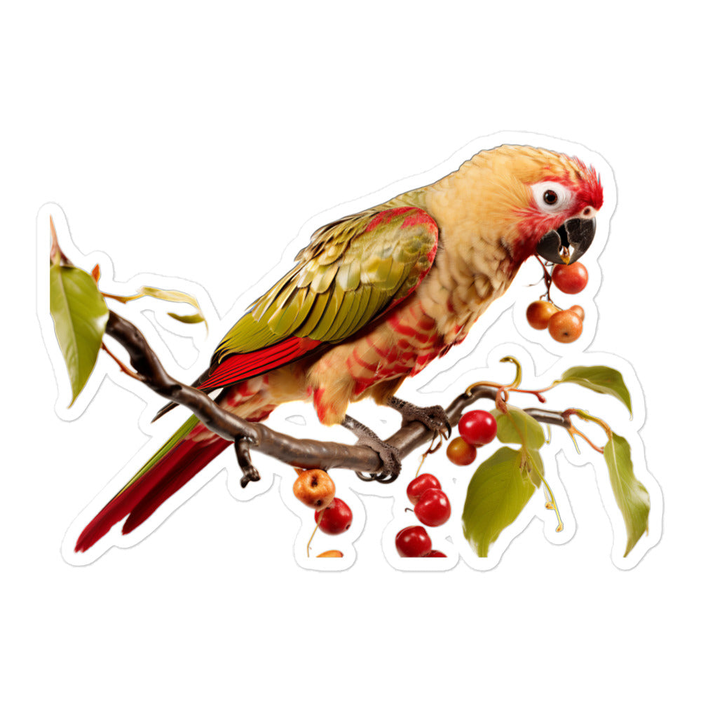 Conure Sticker - Stickerfy.ai