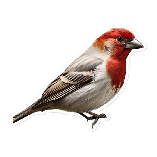 Red Headed Finch Sticker - Stickerfy.ai