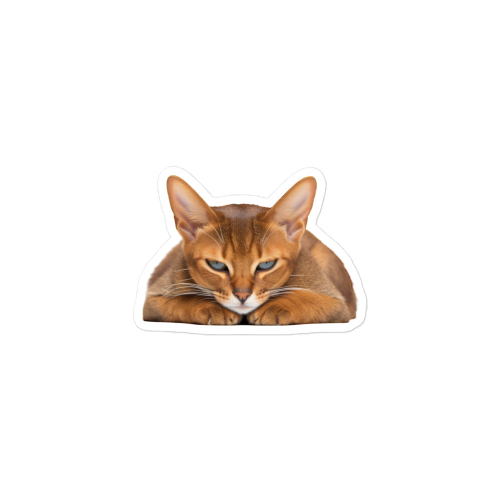 Abyssinian Sticker - Stickerfy.ai