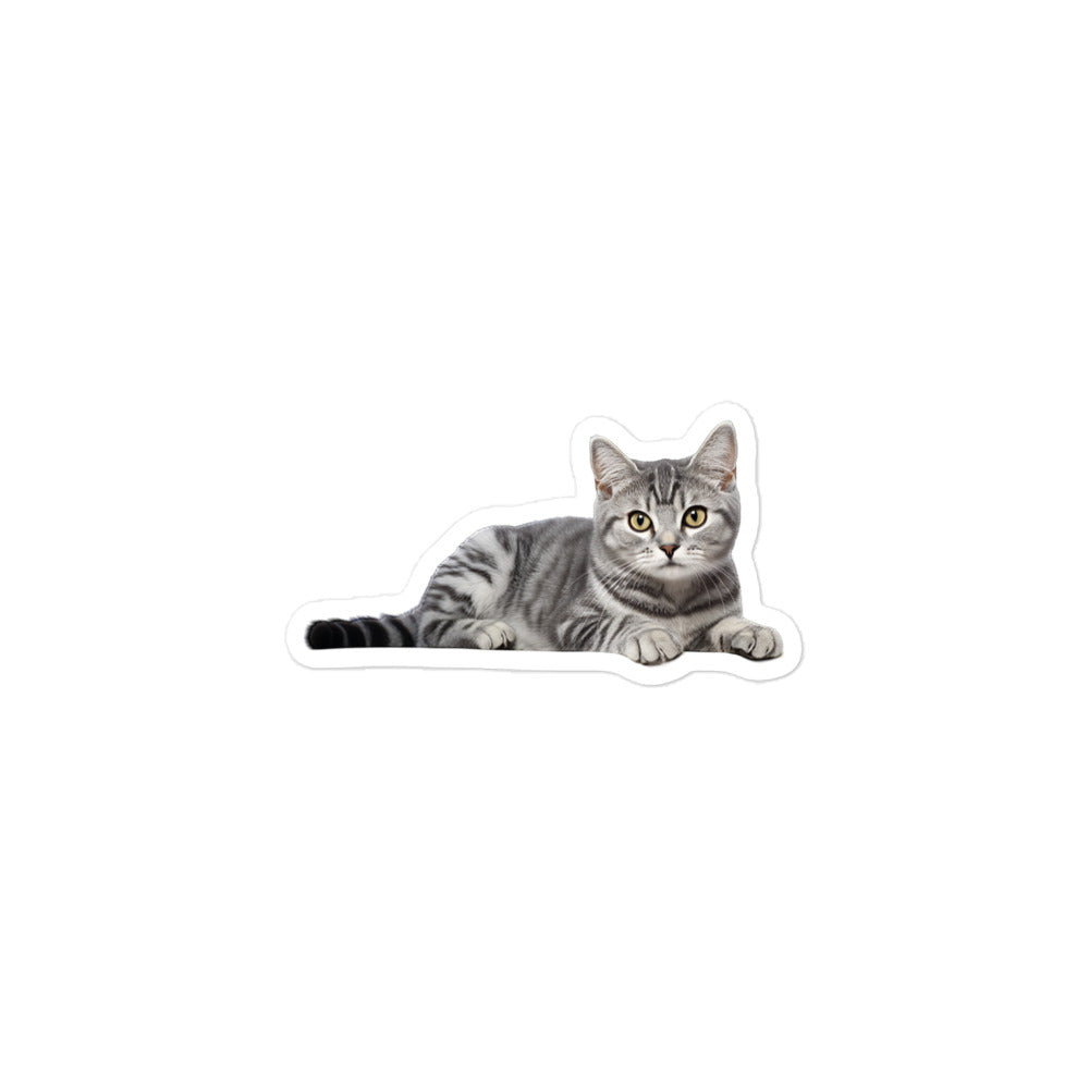 American Shorthair Sticker - Stickerfy.ai