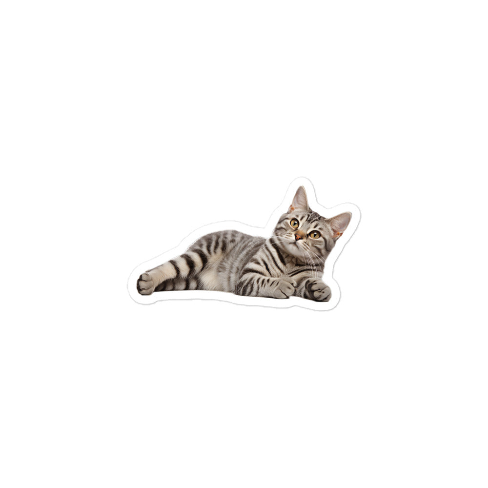 American Shorthair Sticker - Stickerfy.ai