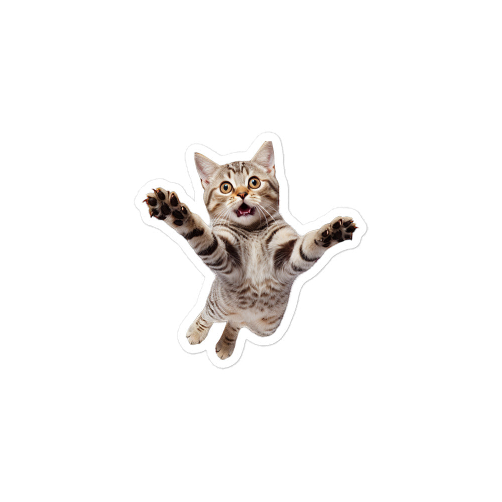 American Shorthair Sticker - Stickerfy.ai