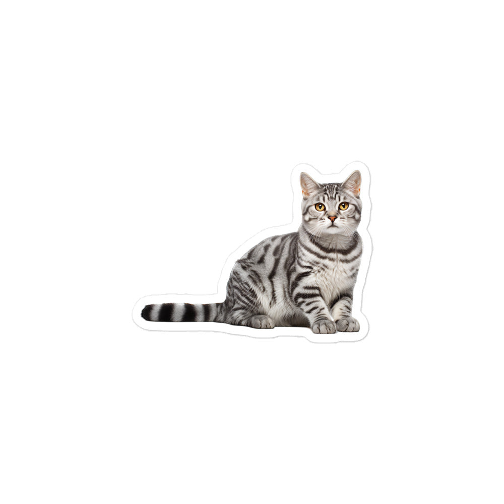 American Shorthair Sticker - Stickerfy.ai