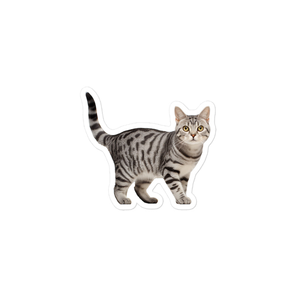 American Shorthair Sticker - Stickerfy.ai