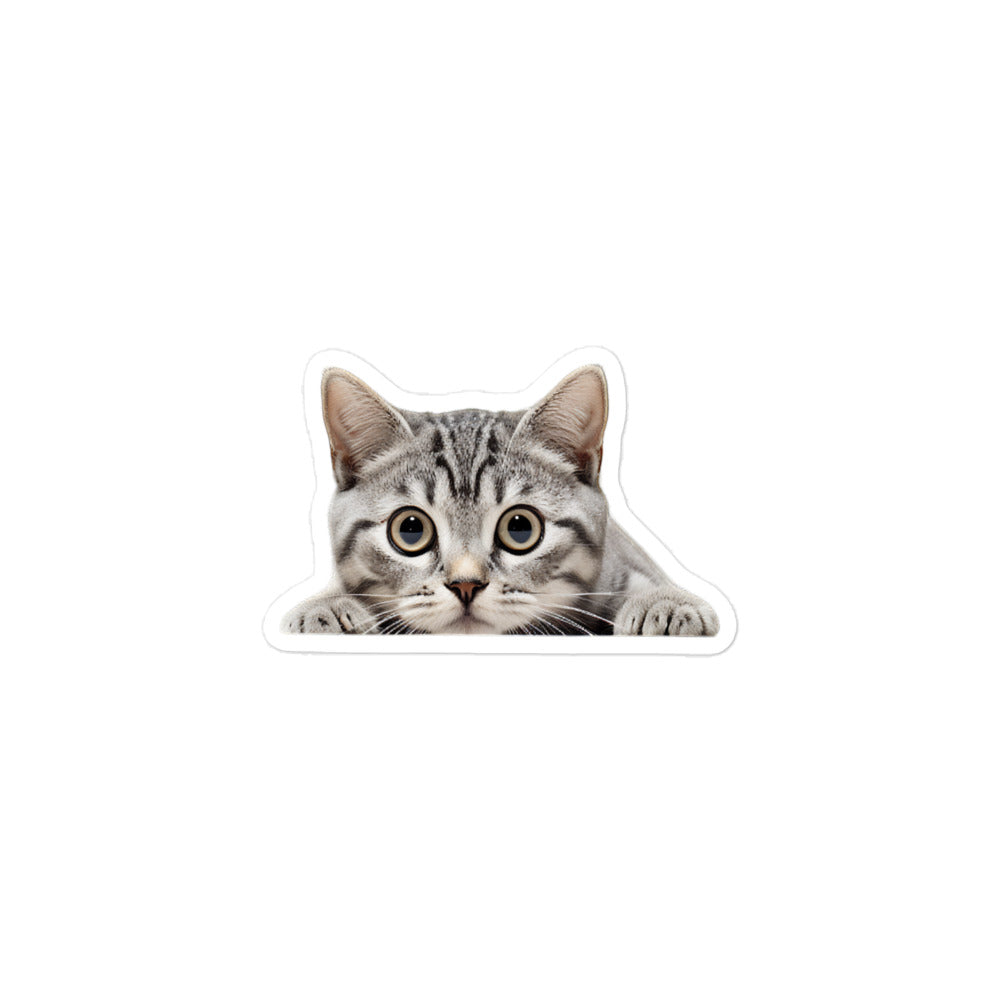 American Shorthair Sticker - Stickerfy.ai