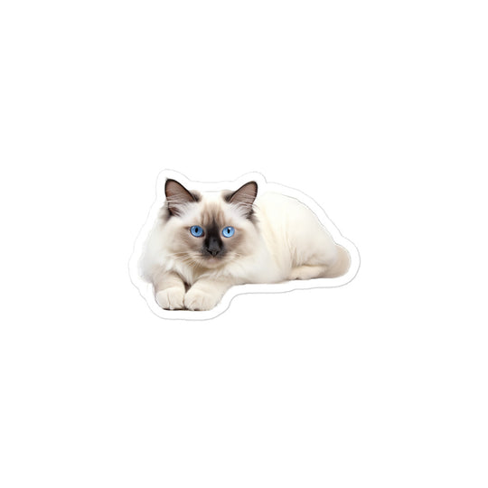 Birman Sticker - Stickerfy.ai