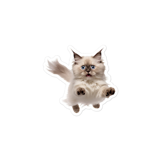 Birman Sticker - Stickerfy.ai