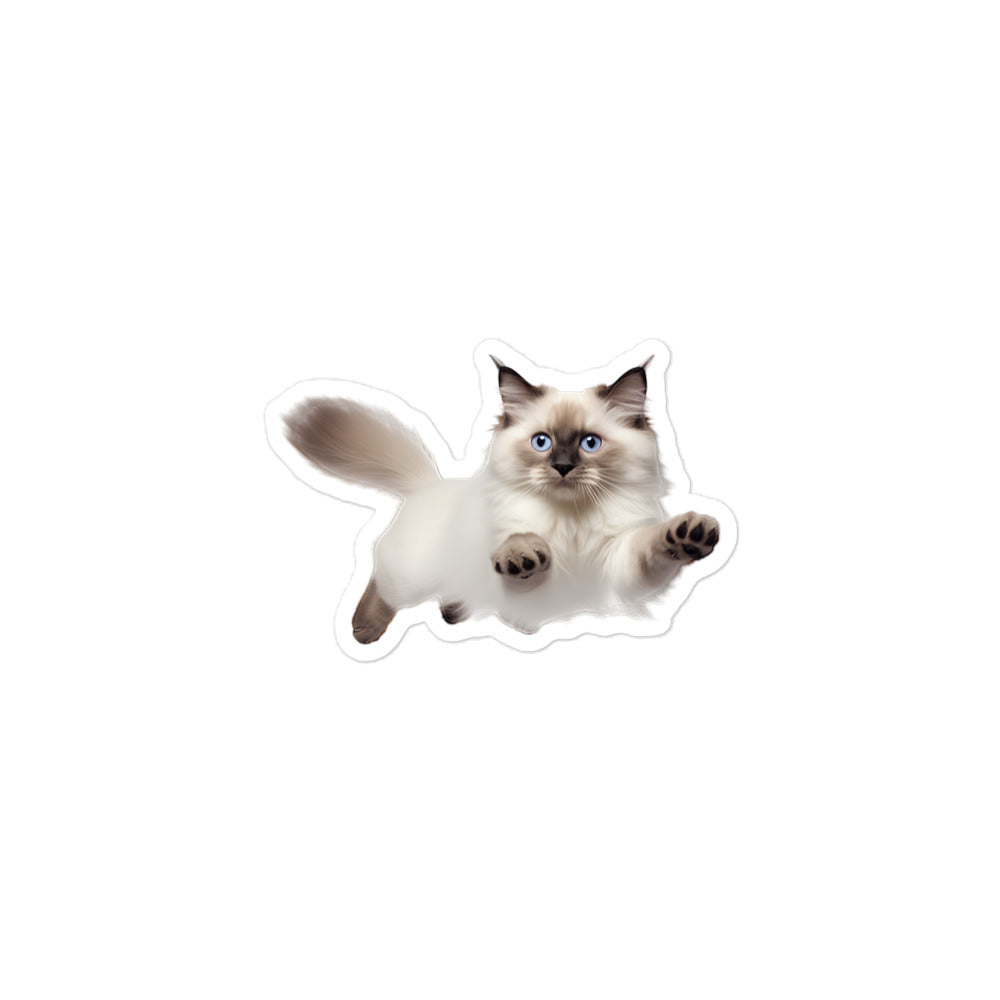 Birman Sticker - Stickerfy.ai