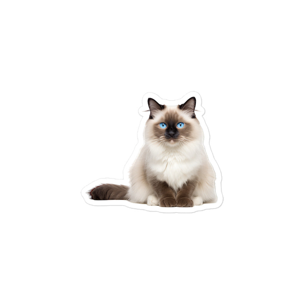 Birman Sticker - Stickerfy.ai