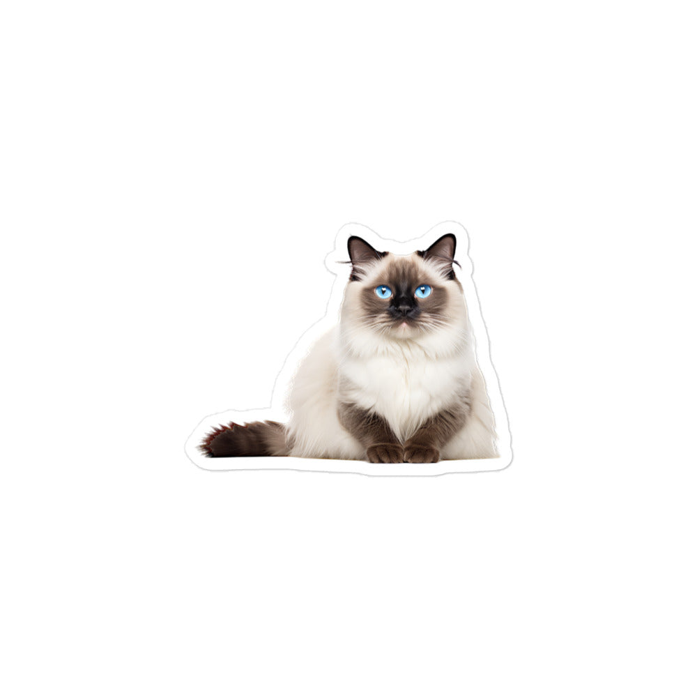 Birman Sticker - Stickerfy.ai