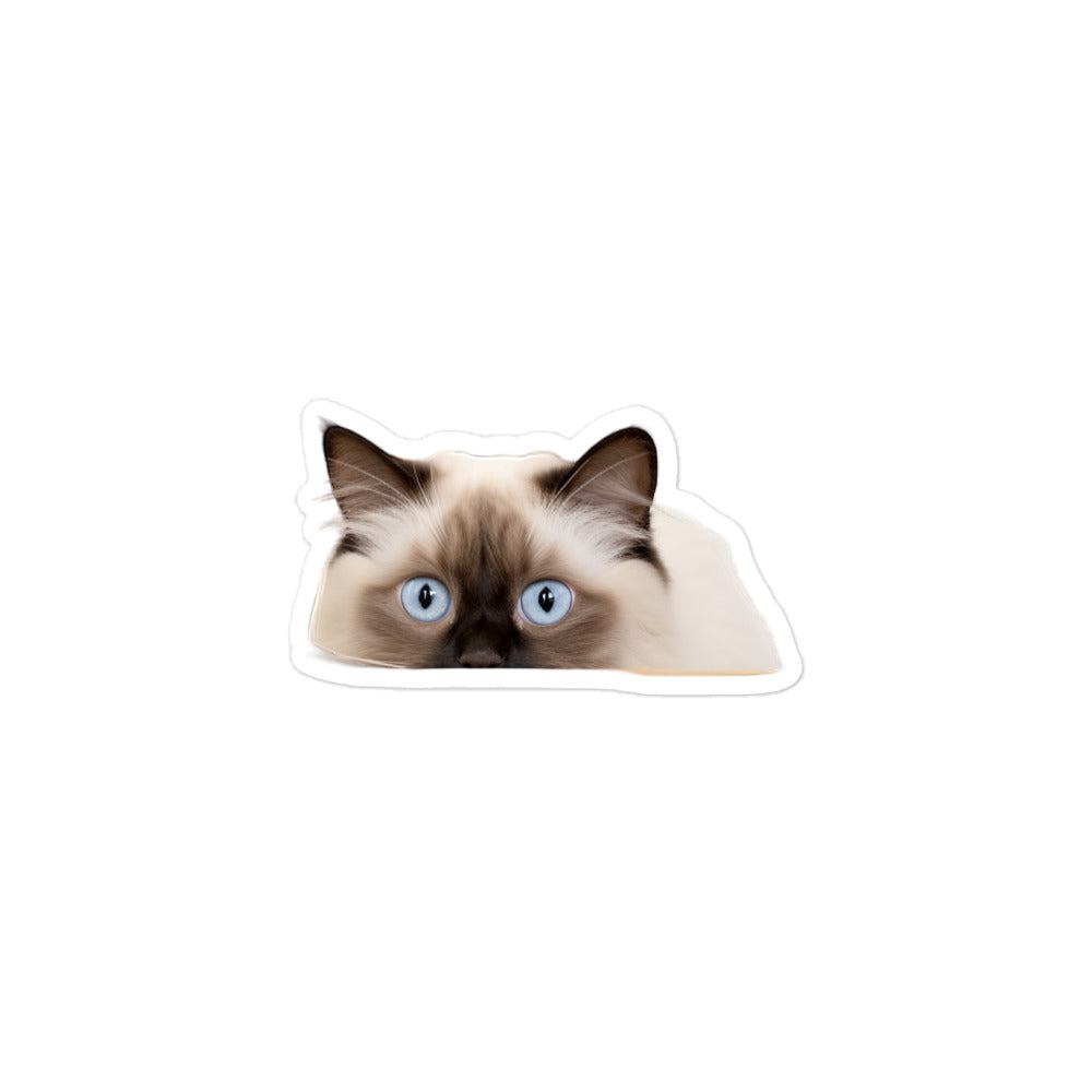 Birman Sticker - Stickerfy.ai