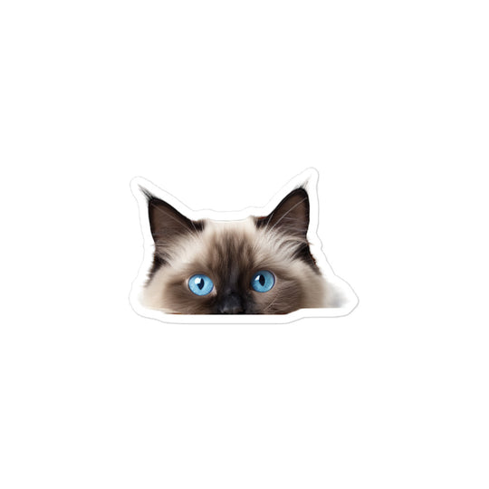 Birman Sticker - Stickerfy.ai