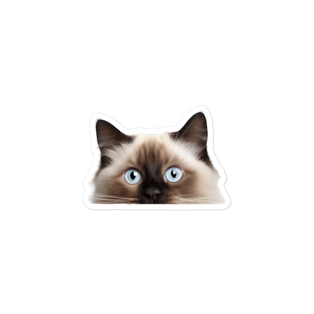 Birman Sticker - Stickerfy.ai