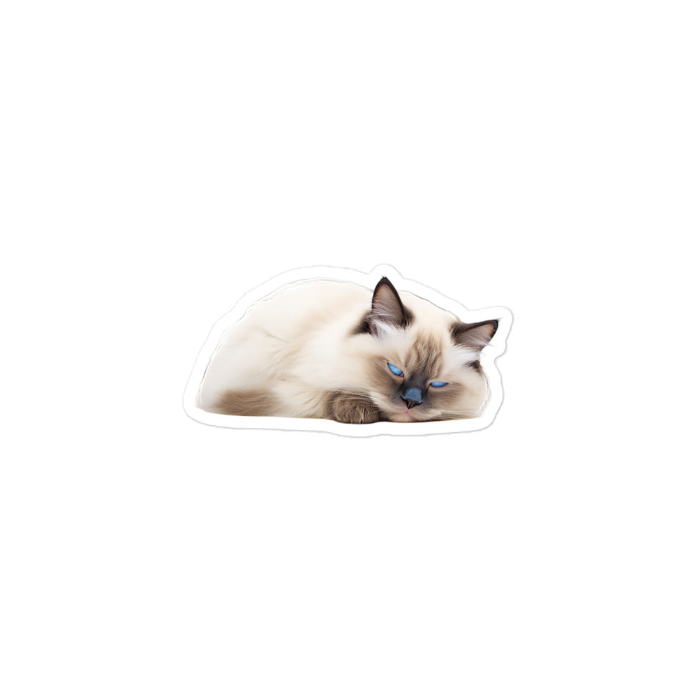 Birman Sticker - Stickerfy.ai