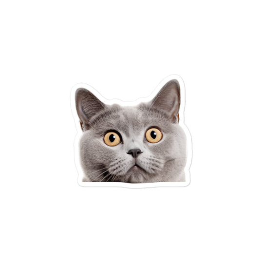 British Shorthair Sticker - Stickerfy.ai