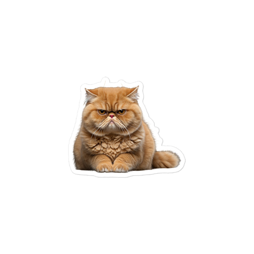 Exotic Shorthair Sticker - Stickerfy.ai