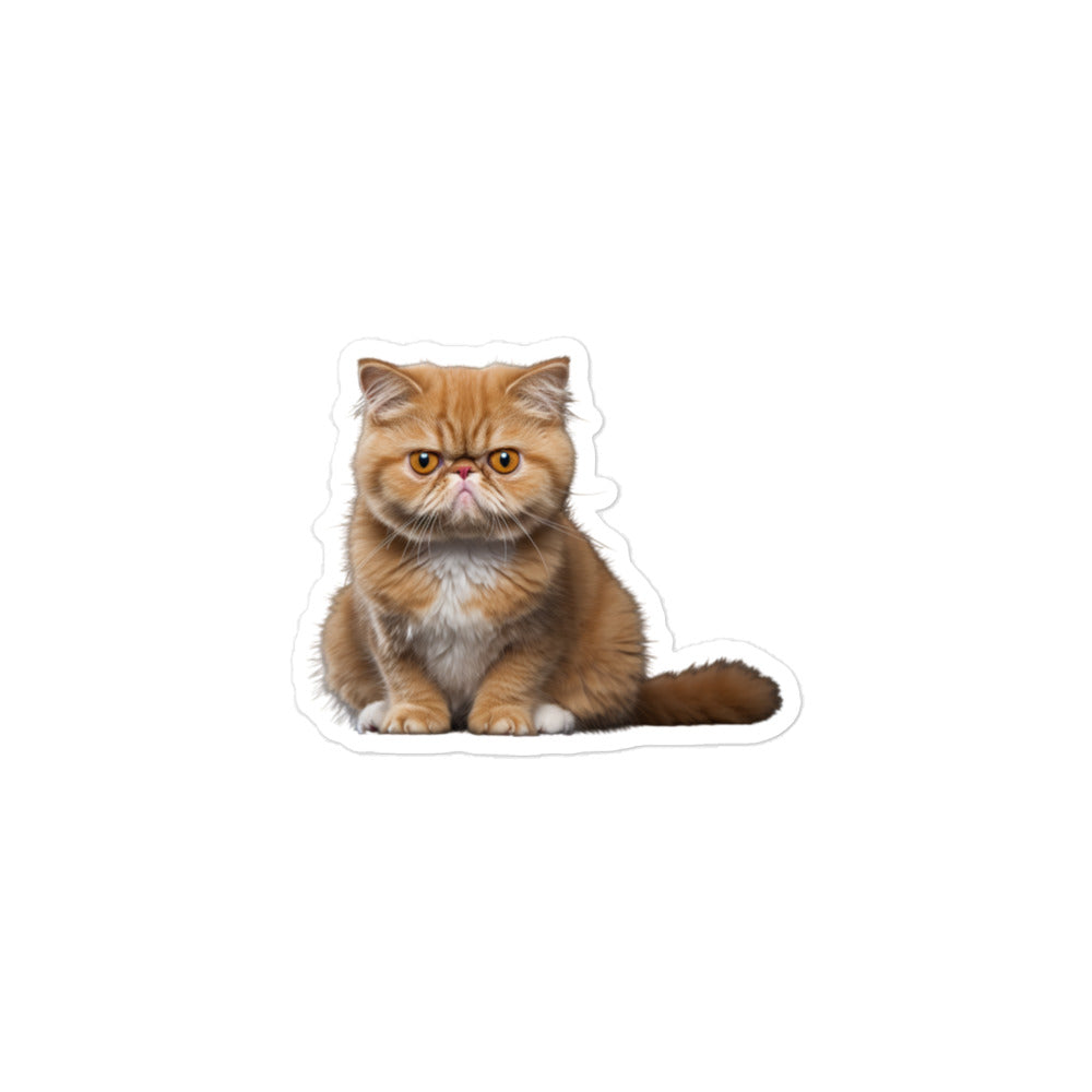 Exotic Shorthair Sticker - Stickerfy.ai