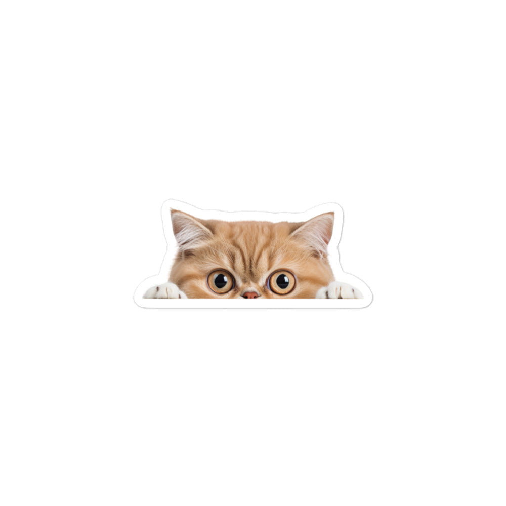 Exotic Shorthair Sticker - Stickerfy.ai