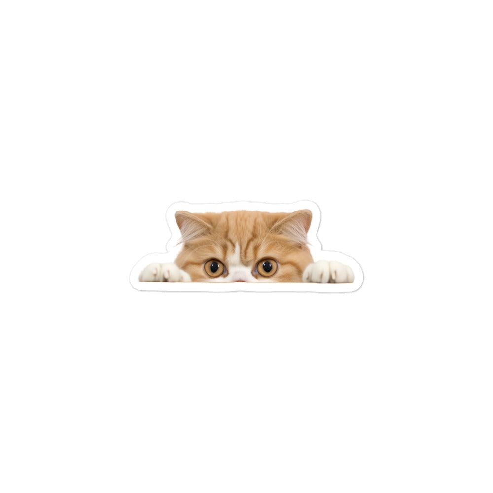 Exotic Shorthair Sticker - Stickerfy.ai