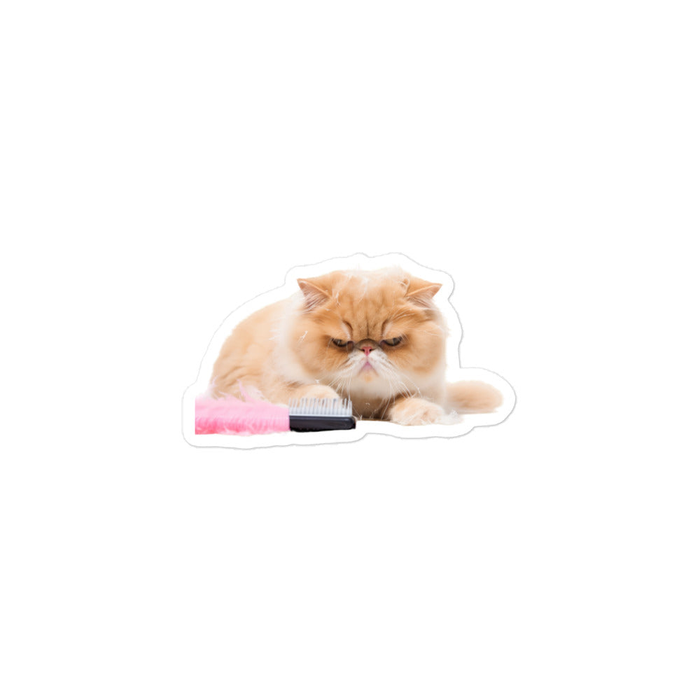 Exotic Shorthair Sticker - Stickerfy.ai