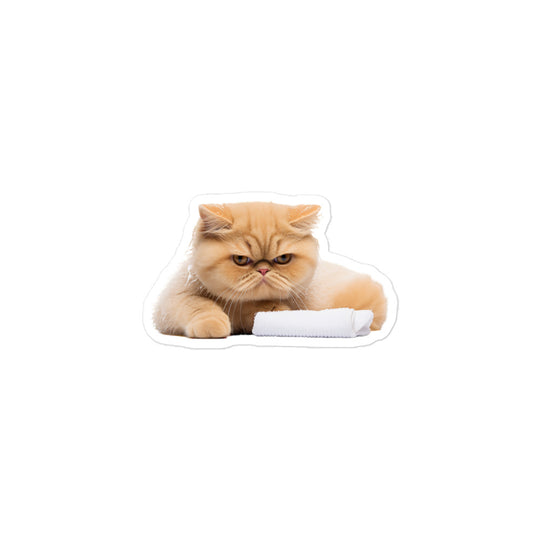 Exotic Shorthair Sticker - Stickerfy.ai