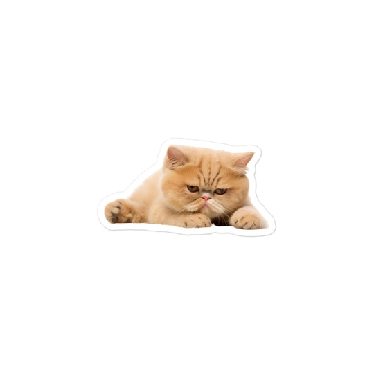 Exotic Shorthair Sticker - Stickerfy.ai