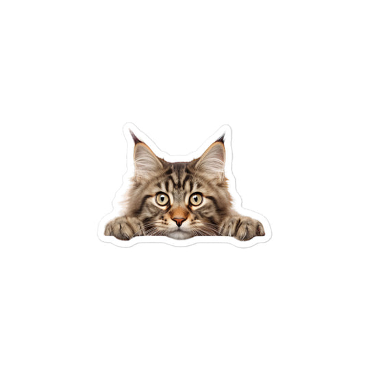 Maine Coon Sticker - Stickerfy.ai