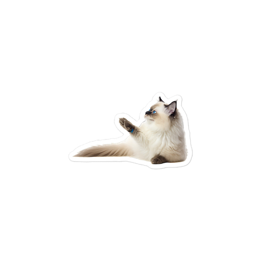 Ragdoll Sticker - Stickerfy.ai