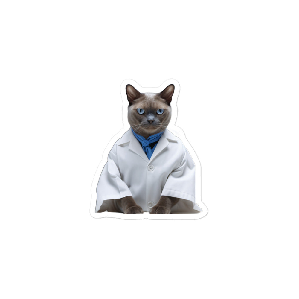 Burmese Pharmacist Sticker - Stickerfy.ai