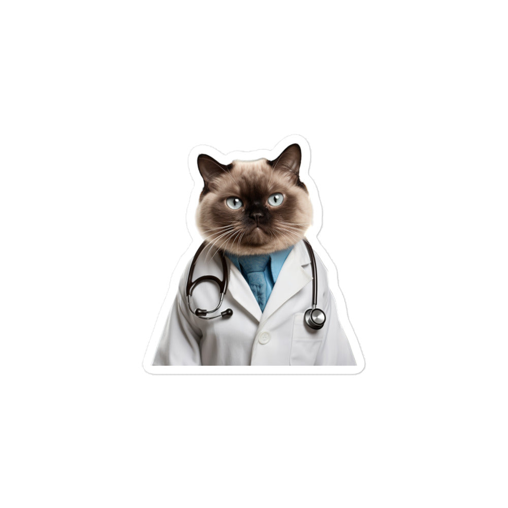 Burmese Doctor Sticker - Stickerfy.ai