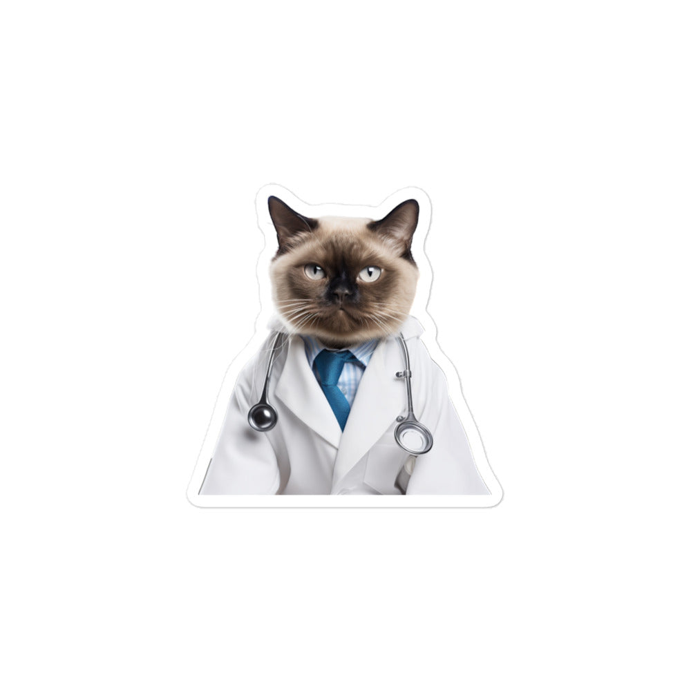 Burmese Doctor Sticker - Stickerfy.ai