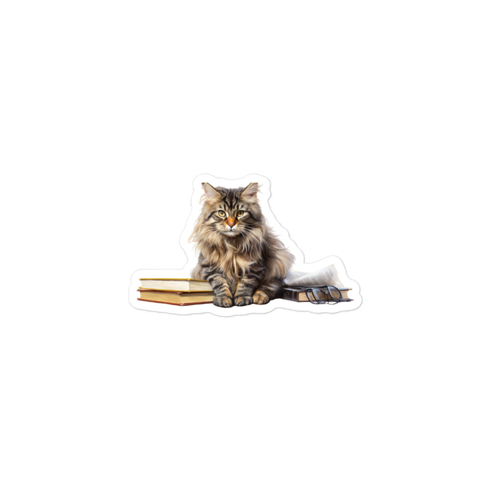 Maine Coon Student Sticker - Stickerfy.ai