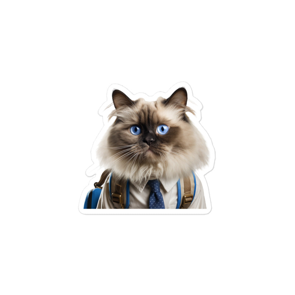 Ragdoll Student Sticker - Stickerfy.ai