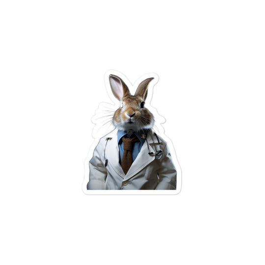 Dutch Compassionate Doctor Bunny Sticker - Stickerfy.ai