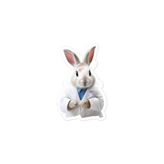 Dwarf Hotot Knowledgeable Pharmacist Bunny Sticker - Stickerfy.ai