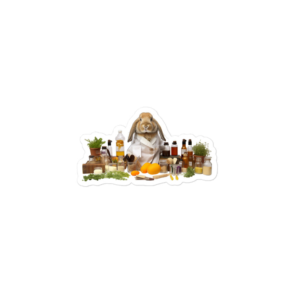 Holland Lop Knowledgeable Pharmacist Bunny Sticker - Stickerfy.ai