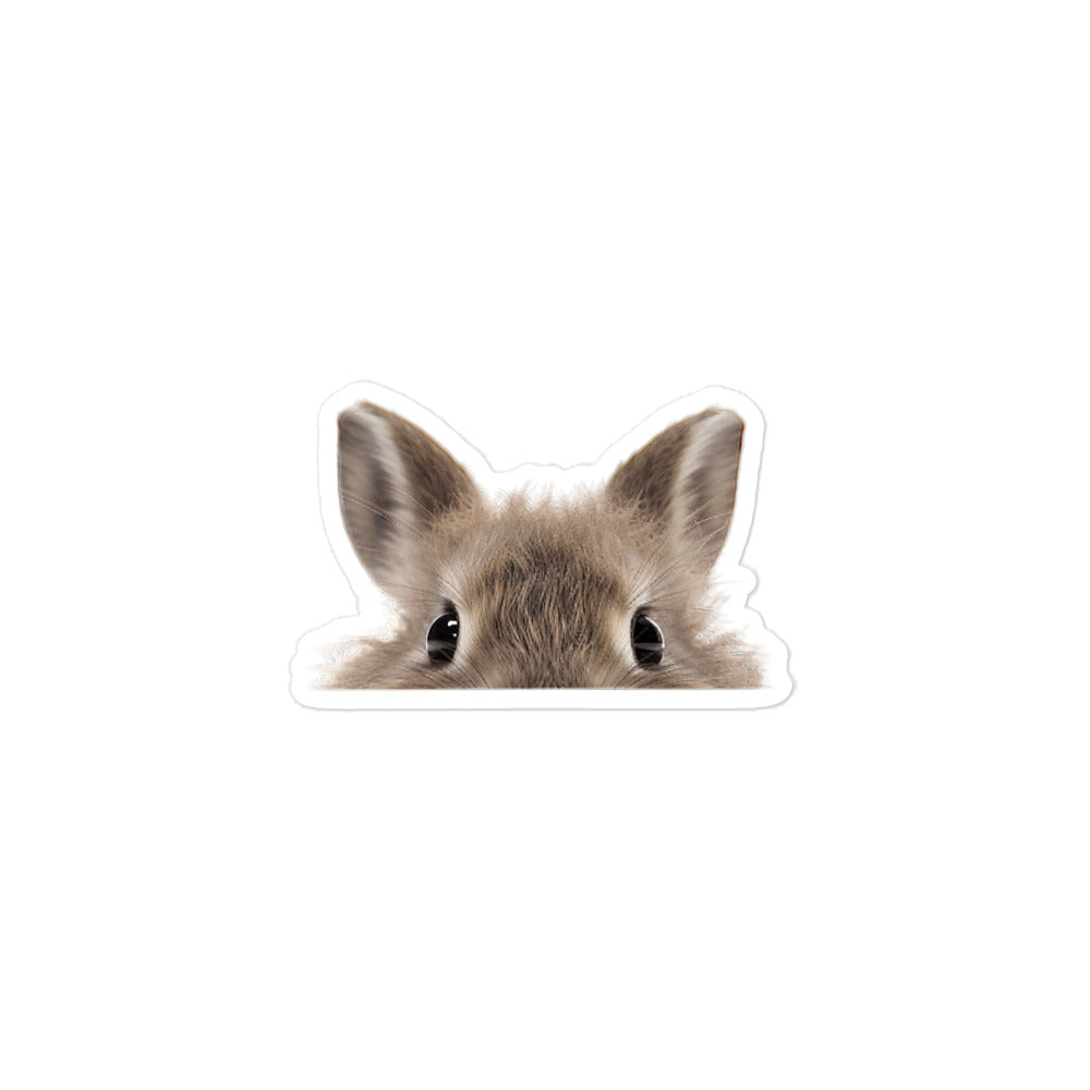 Jersey Wooly Bunny Sticker - Stickerfy.ai
