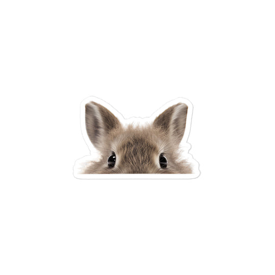 Jersey Wooly Bunny Sticker - Stickerfy.ai