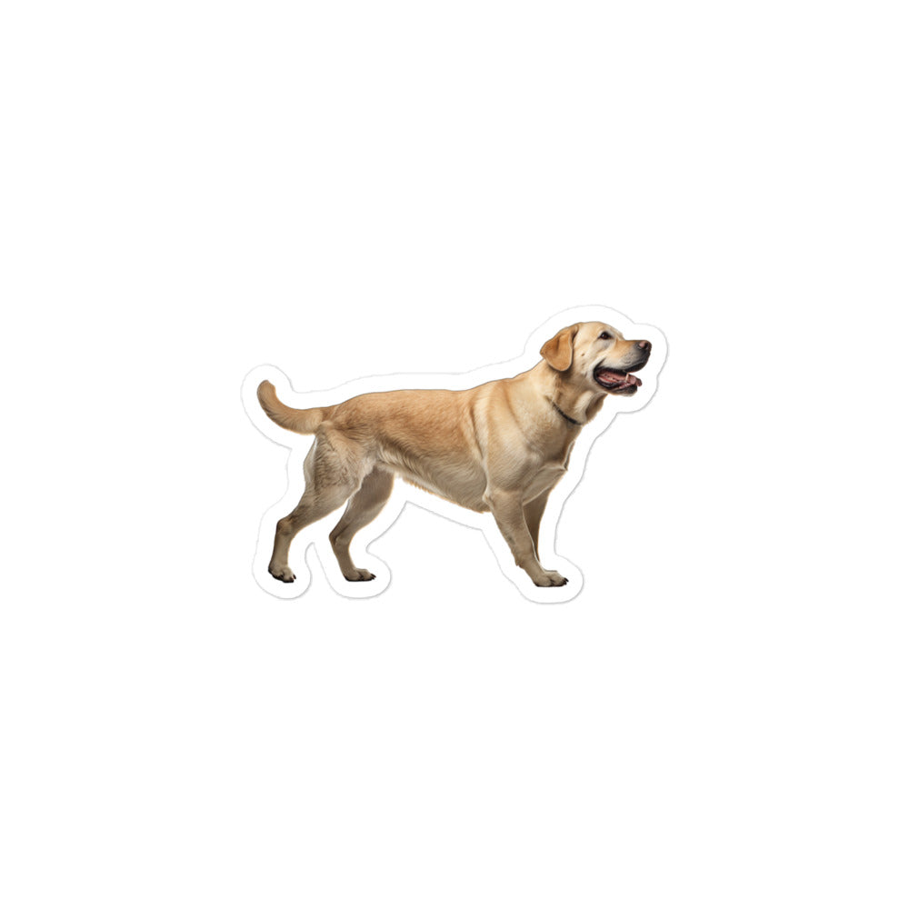 Labrador Retriever Sticker - Stickerfy.ai