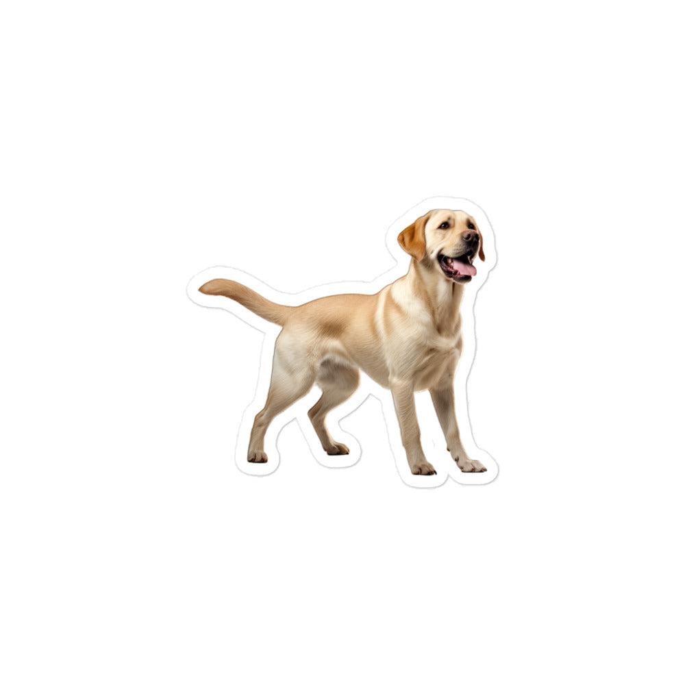 Labrador Retriever Sticker - Stickerfy.ai