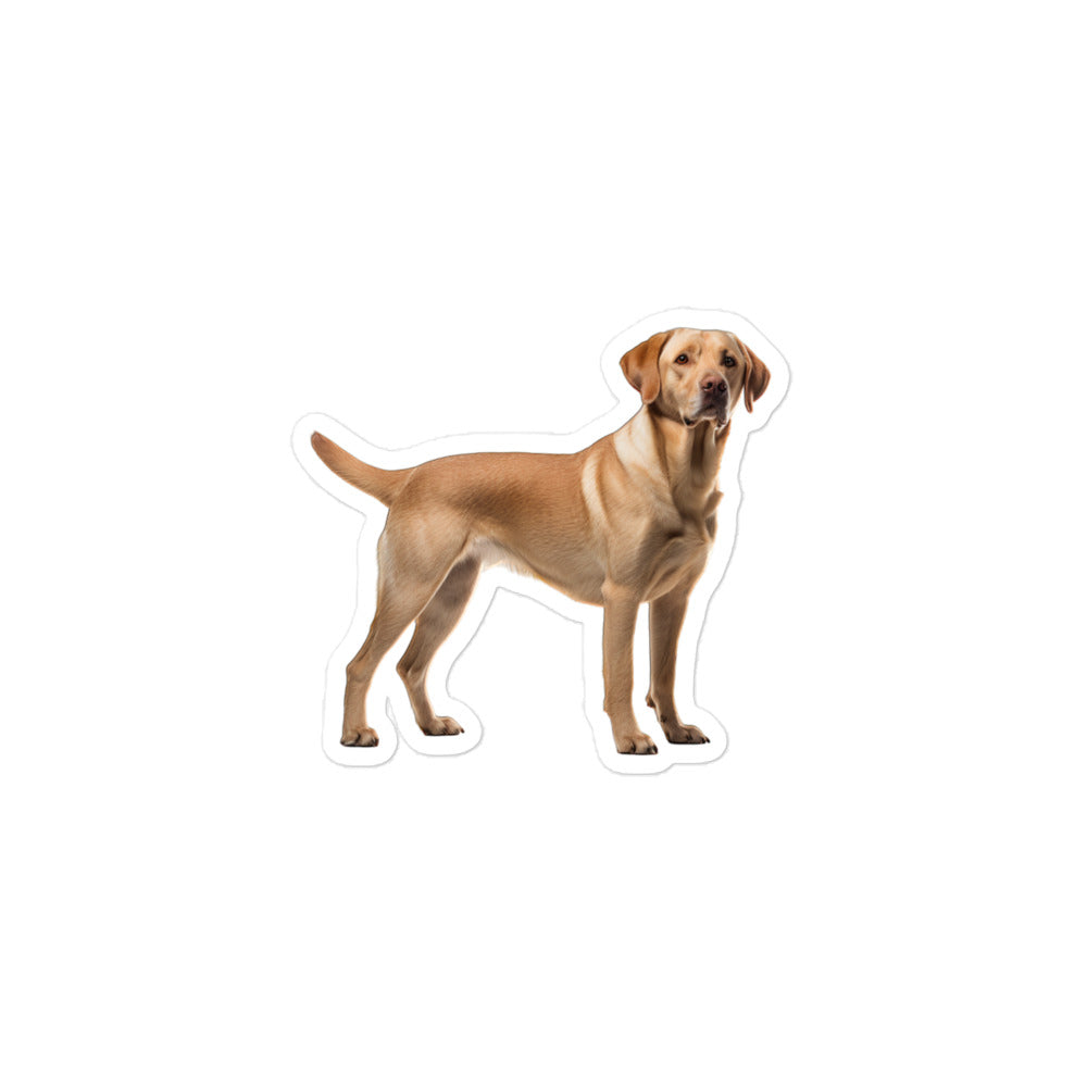 Labrador Retriever Sticker - Stickerfy.ai